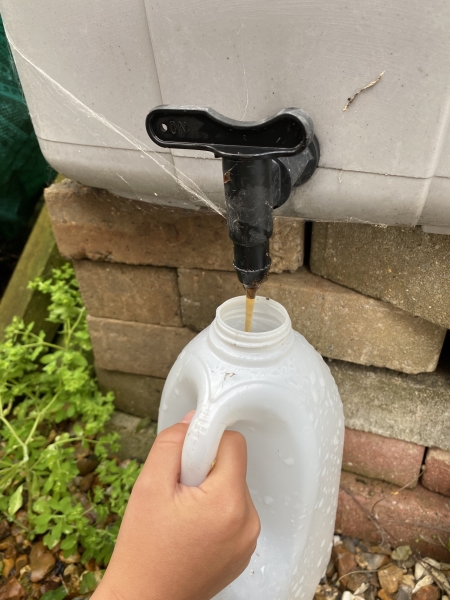 Grangetown Kitchen Garden